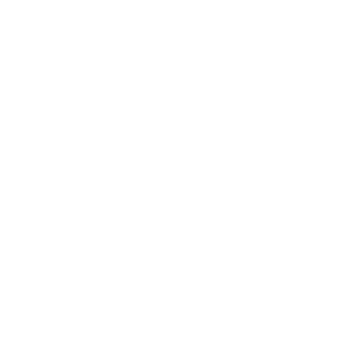 Anaxi Labs