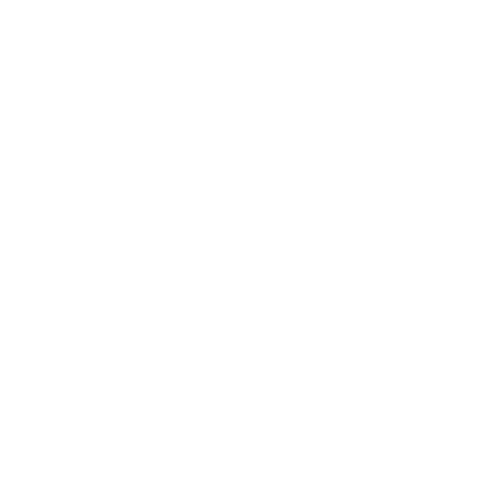 Pyrus Financial