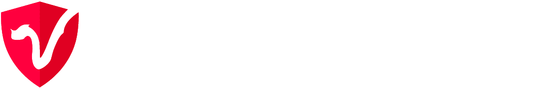 Draper Dragon Logo